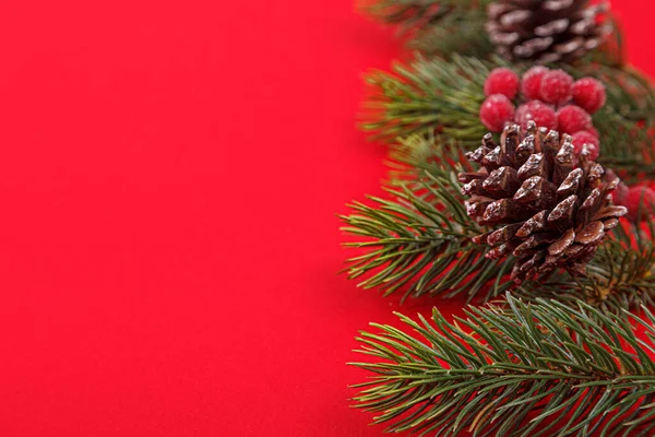 Ramos Árvore Natal Com Cones Fundo Vermelho Close — Fotografia de Stock