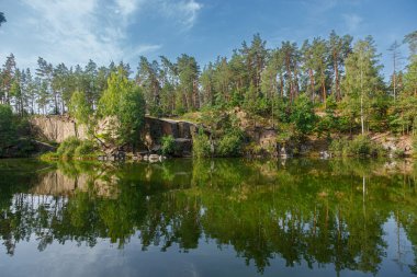 Üzerinde mavi gökyüzü olan kuğuların yüzdüğü güzel bir göl.