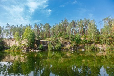 Üzerinde mavi gökyüzü olan kuğuların yüzdüğü güzel bir göl.