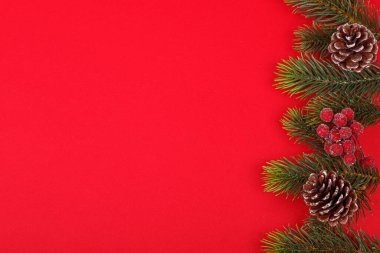 Kırmızı arka planda konileri olan Noel ağacı dalları