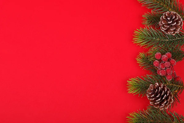 クリスマスツリーの枝に円錐形の赤い背景のクローズアップ — ストック写真