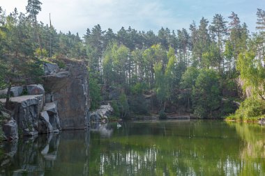 Üzerinde mavi gökyüzü olan kuğuların yüzdüğü güzel bir göl.