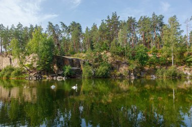 Üzerinde mavi gökyüzü olan kuğuların yüzdüğü güzel bir göl.