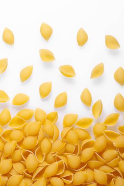 Pasta products in the form of a shell, texture, on a white background close-up