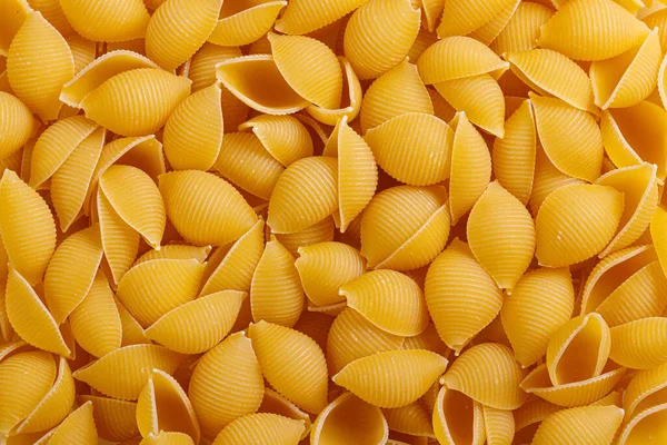 Pasta products in the form of a shell, texture, close-up
