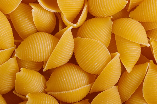 Pasta Products Form Shell Texture Close — Stockfoto