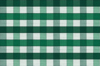 macro fabric texture cotton, cell, green colors close up