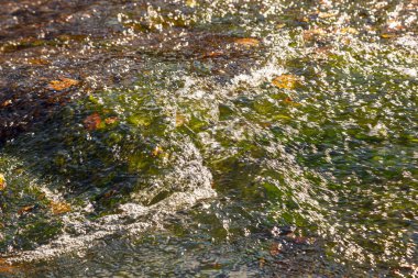 Su akışı ve bir taştan fışkırma. Yakından.