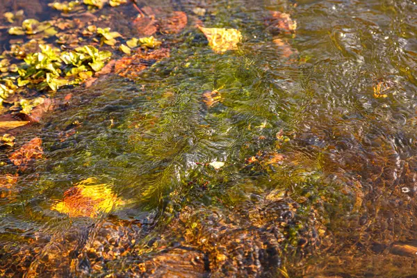 stock image flow of water and spray from a stone close up