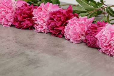 Gri masadaki güzel şakayıklar. Yakın plan.