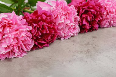 Gri masadaki güzel şakayıklar. Yakın plan.