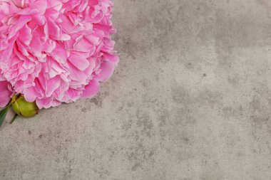 Gri masadaki güzel şakayıklar. Yakın plan.