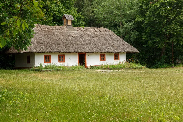 Ancient houses in the Ukrainian style, Ukrainian village, Pirogovo, close-up