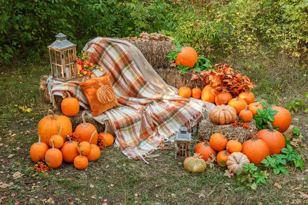 Beautiful Autumn Location Pumpkins Halloween Close — Stock Photo, Image