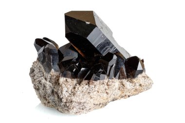 Morrosus, beyaz arka planda Morion mineral taşı makrosu