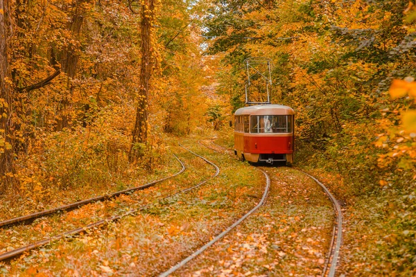 Tramvayın geçtiği sonbahar ormanı, Kyiv ve raylar yakın mesafede.