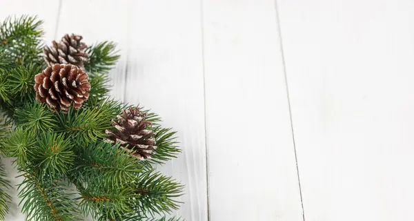 Christmas Tree Branch Pine Cone Wooden Background Close Royalty Free Stock Photos
