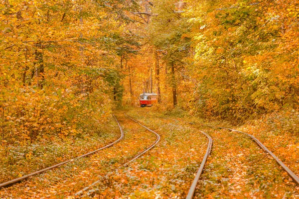 Tramvayın geçtiği sonbahar ormanı, Kyiv ve raylar yakın mesafede.