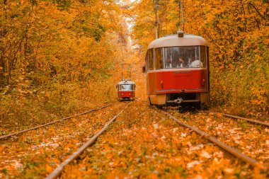 Tramvayın geçtiği sonbahar ormanı, Kyiv ve raylar yakın mesafede.