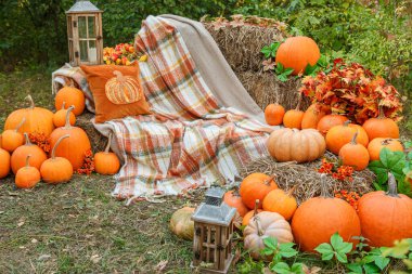 Balkabaklarıyla güzel bir sonbahar konumu, Cadılar Bayramı, yakın plan
