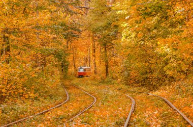 Tramvayın geçtiği sonbahar ormanı, Kyiv ve raylar yakın mesafede.