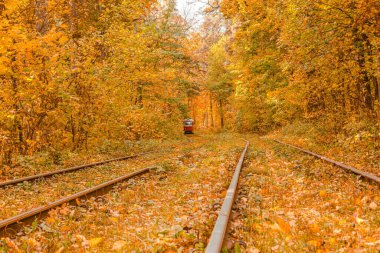 Tramvayın geçtiği sonbahar ormanı, Kyiv ve raylar yakın mesafede.