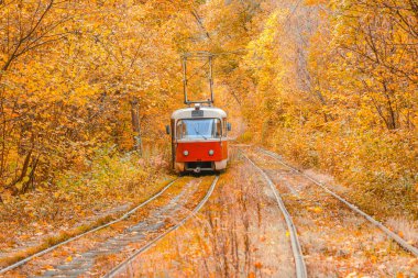 Tramvayın geçtiği sonbahar ormanı, Kyiv ve raylar yakın mesafede.