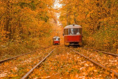 Tramvayın geçtiği sonbahar ormanı, Kyiv ve raylar yakın mesafede.