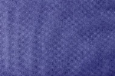 menekşe dikmek için büyük bağlayıcı makro doku dokusu, mor arkaplan rengi yakın plan