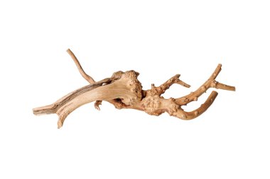 İzole edilmiş beyaz bir arkaplanda eski kuru ağaç dalı