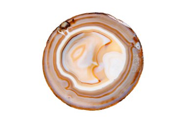 Sarı, kahverengi Akik mineral taşı üretir. Beyaz arka plan, yakın plan.