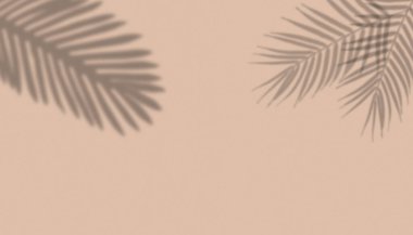 Kahverengi arkaplandaki bitki dallarının gölgesi