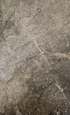 Beyaz arka planda doğal damarları olan koyu kahverengi bir fayans dokusu iç mekanları geliştirir. Sıcak şablonu ev dekorasyonuna lüks bir hava katıyor..