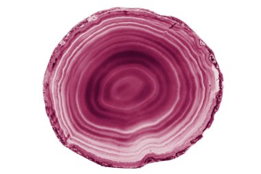 Beyaz arka planda beyaz damarları olan boyalı bir kırmızı akik dilimi doğanın güzelliğini vurgular. Katmanlı yapısı onu baş döndürücü bir doğal dekor haline getiriyor..