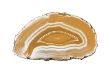 Beyaz arka planda beyaz damarları olan kahverengi bir dilim mücevher için mükemmeldir. Doğal katmanları, el yapımı aksesuarların güzelliğini arttırır..