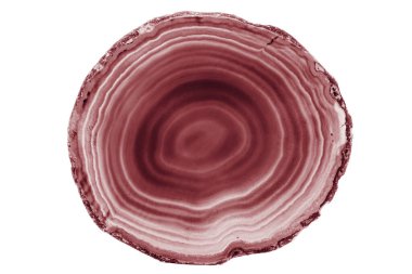 Beyaz arka planda beyaz damarları olan boyalı kahverengi akik dilimi dekor ve el işi projeleri için uygun. Katmanlı dokusu çeşitli tasarımlara doğal bir zarafet katıyor..