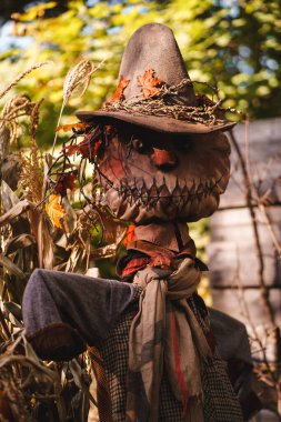 A rustic autumn setup with a scarecrow, pumpkins, and hay bales under misty skies, featuring a wooden bench and blanket. Perfect for seasonal ads, Thanksgiving decor, or fall lifestyle content.