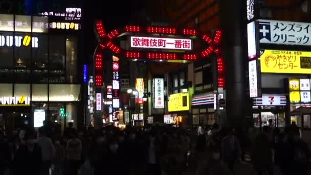 Shinjuku Kabukicho Μεγαλύτερη Περιοχή Διασκέδασης Της Ιαπωνίας Τις Φωτεινές Πινακίδες — Αρχείο Βίντεο