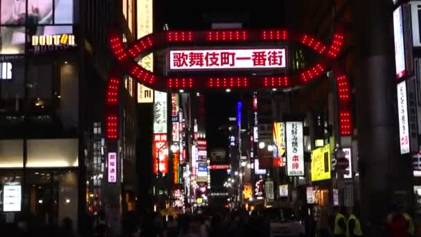 Shinjuku Kabukicho Distrito Entretenimiento Diversiones Más Grande Japón Con Sus — Vídeos de Stock