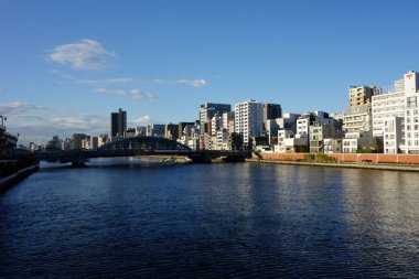 Tokyo Japonya Zarafeti, Sumida Nehri ve başkentin uzak manzarası.