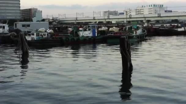 Die Stille Des Hafens Der Abenddämmerung Die Kleinen Boote Hafen — Stockvideo
