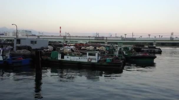 Die Stille Des Hafens Der Abenddämmerung Die Kleinen Boote Hafen — Stockvideo