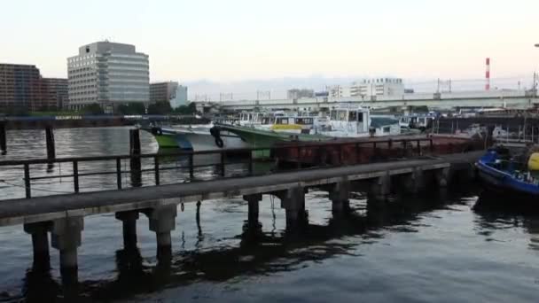 Crepúsculo Silencio Vista Del Muelle Del Puerto Atardecer Con Olas — Vídeos de Stock