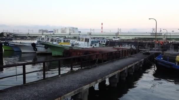 Dämmerungsstille Blick Auf Die Hafenmole Bei Sonnenuntergang Mit Schwankenden Wellen — Stockvideo