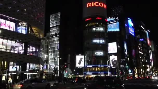 Novembre 2022 Tokyo Giappone Elegante Splendida Vista Notturna Ginza Con — Video Stock