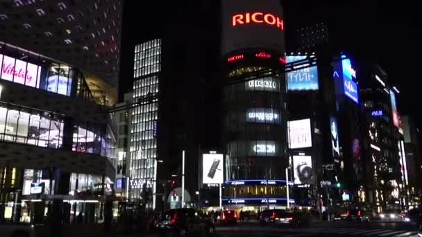 Novembre 2022 Tokyo Giappone Elegante Splendida Vista Notturna Ginza Con — Video Stock