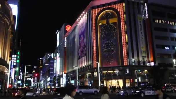 Novembre 2022 Tokyo Giappone Elegante Splendida Vista Notturna Ginza Nei — Video Stock