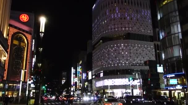 Novembre 2022 Tokyo Giappone Elegante Splendida Vista Notturna Ginza Abbaglianti — Video Stock