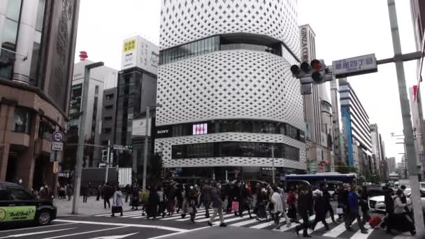 November 2022 Tokyo Japan Ginza Luxury Shopping Mall District Landmark — 图库视频影像