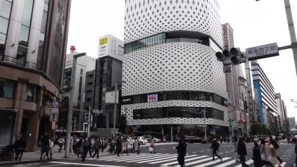Novembre 2022 Tokyo Giappone Quartiere Dei Centri Commerciali Lusso Ginza — Video Stock